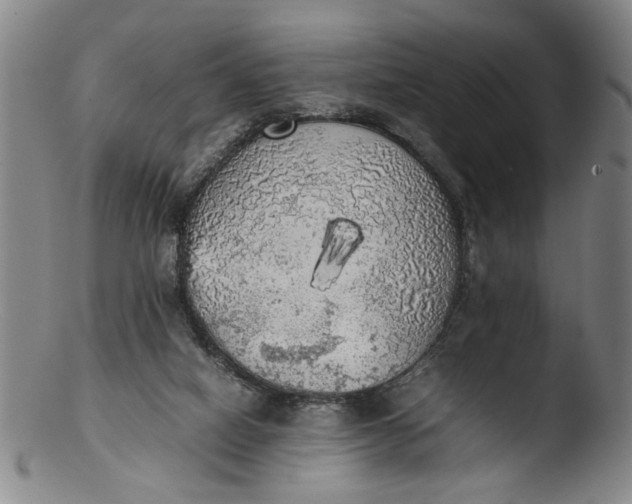 X0000103430066200809261741