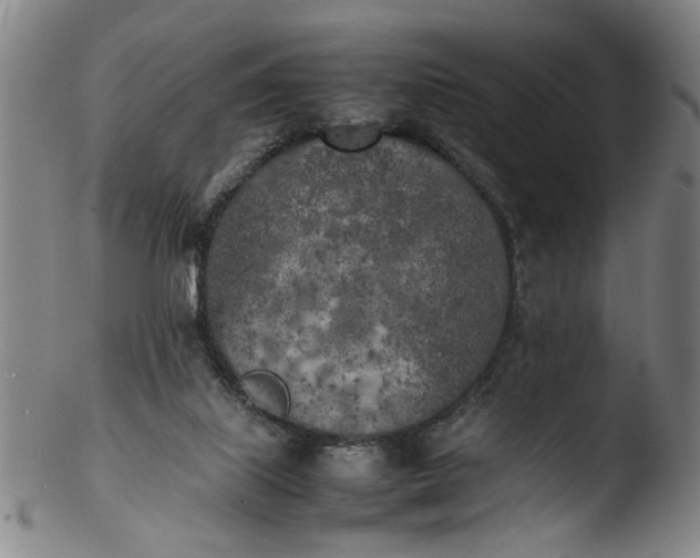 X0000103430067200809261741