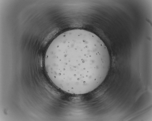 X0000103430068200809261741