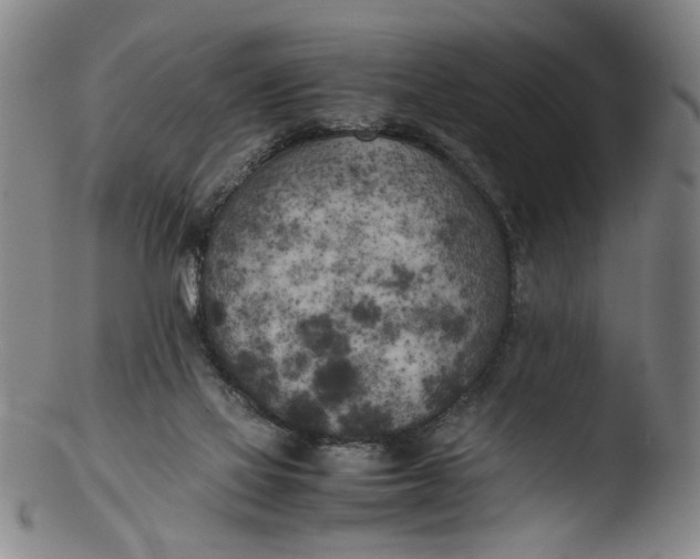 X0000103430069200809261741