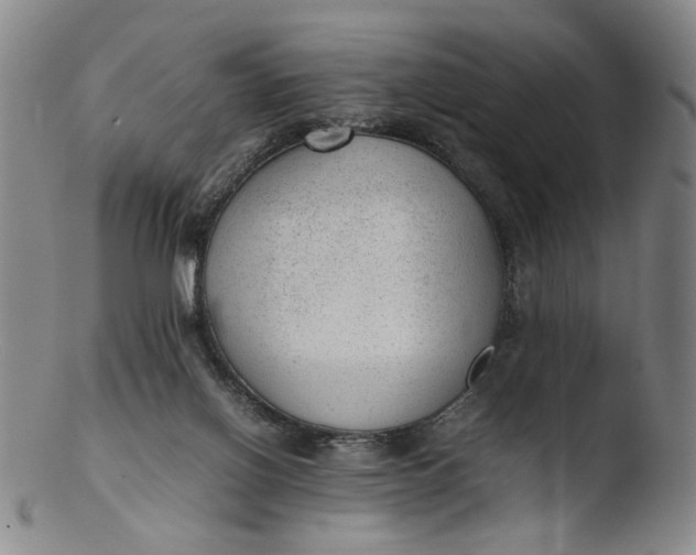 X0000103430070200809261741