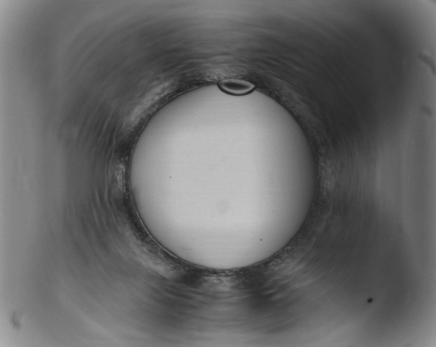 X0000103430071200809261741