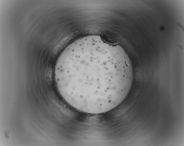 X0000103430072200809261741