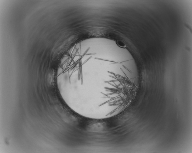 X0000103430073200809261741