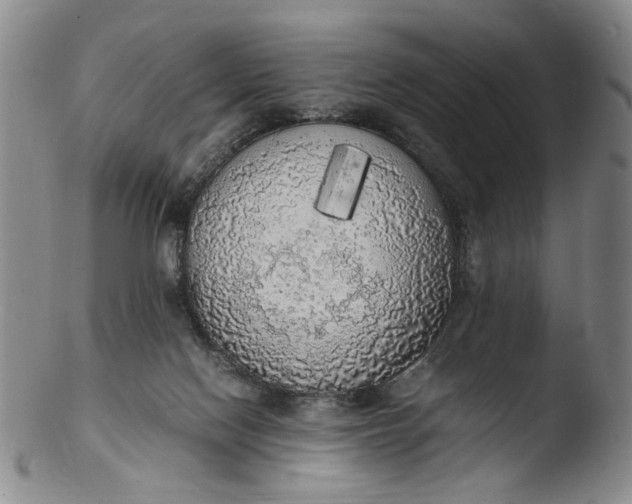 X0000103430074200809261741