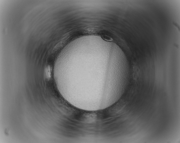 X0000103430075200809261741