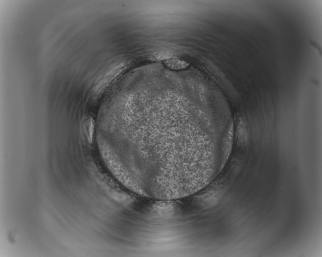 X0000103430076200809261741