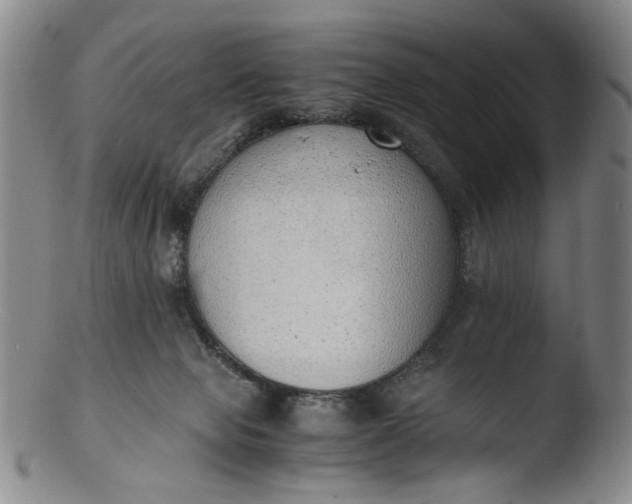 X0000103430077200809261741