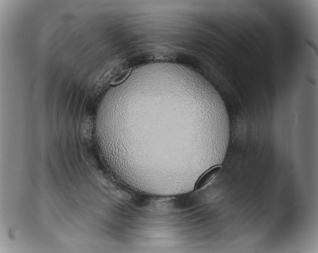 X0000103430078200809261741