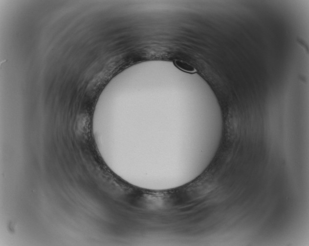 X0000103430079200809261741