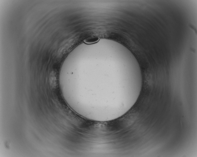 X0000103430080200809261741