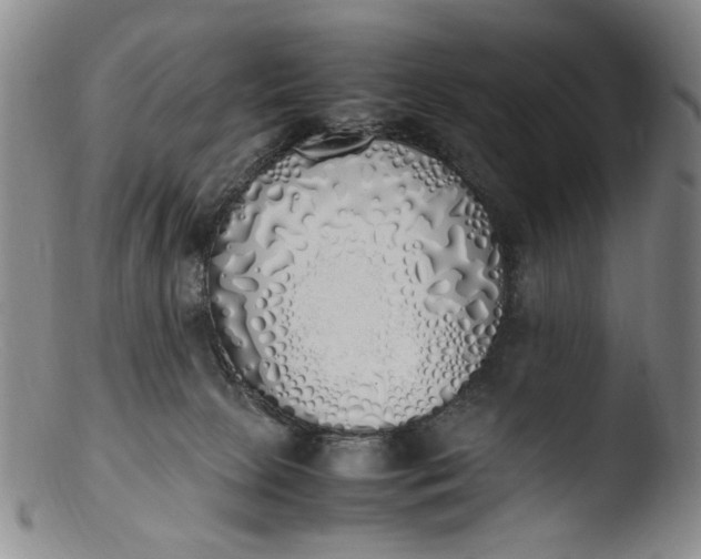 X0000103430081200809261741