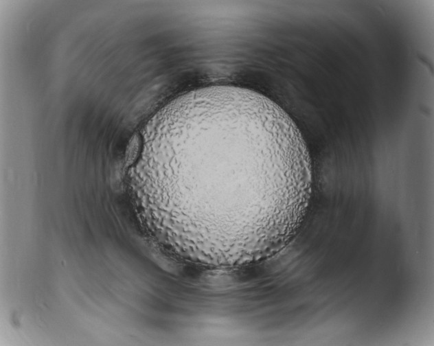 X0000103430082200809261741