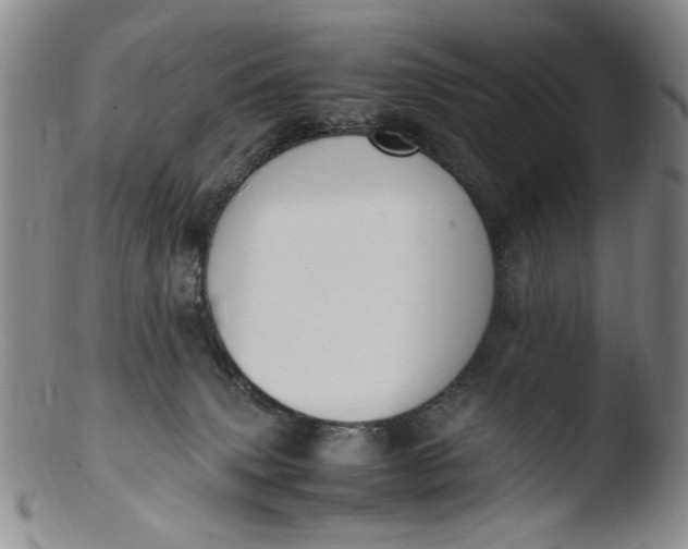 X0000103430083200809261741