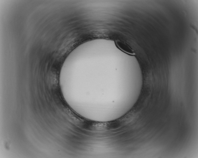 X0000103430084200809261741