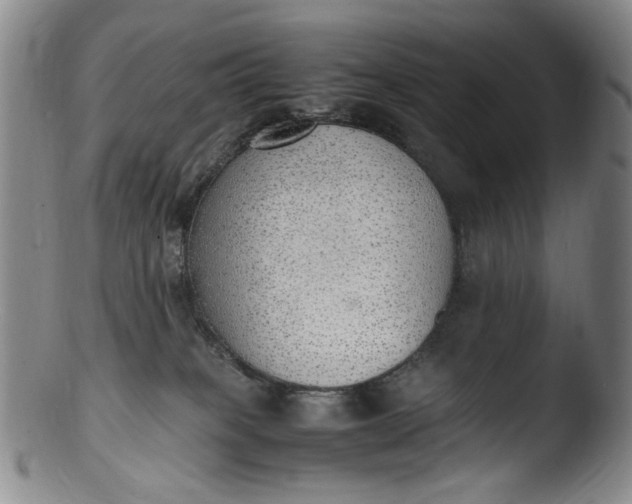 X0000103430085200809261741