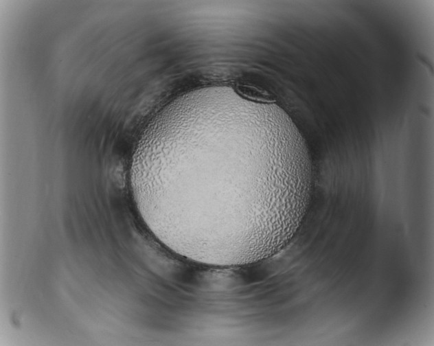 X0000103430086200809261741