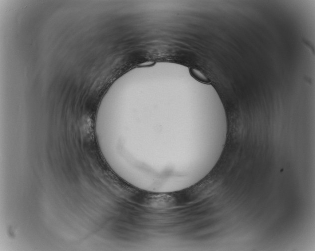 X0000103430087200809261741