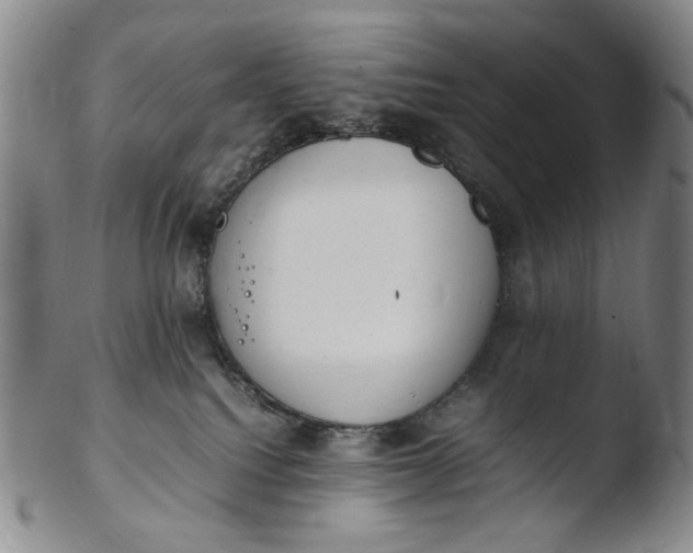 X0000103430088200809261741