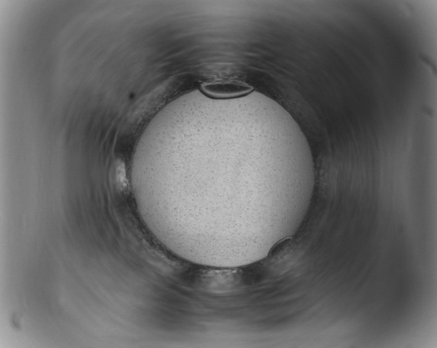 X0000103430089200809261741