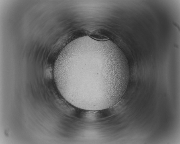 X0000103430090200809261741