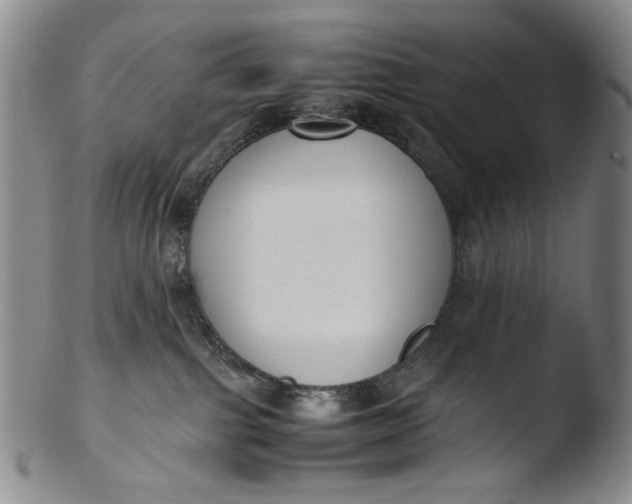 X0000103430091200809261741