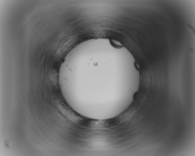 X0000103430092200809261741