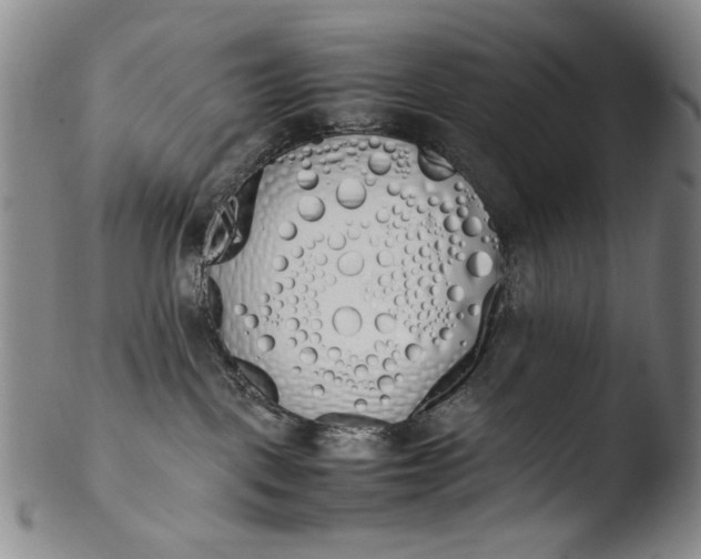 X0000103430093200809261741