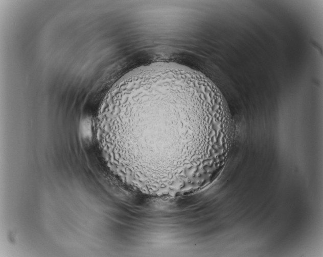 X0000103430094200809261741