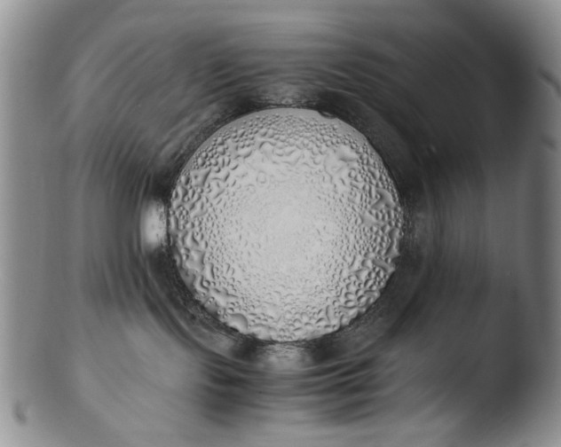 X0000103430095200809261741