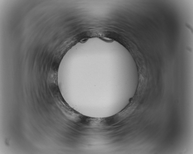 X0000103430096200809261741