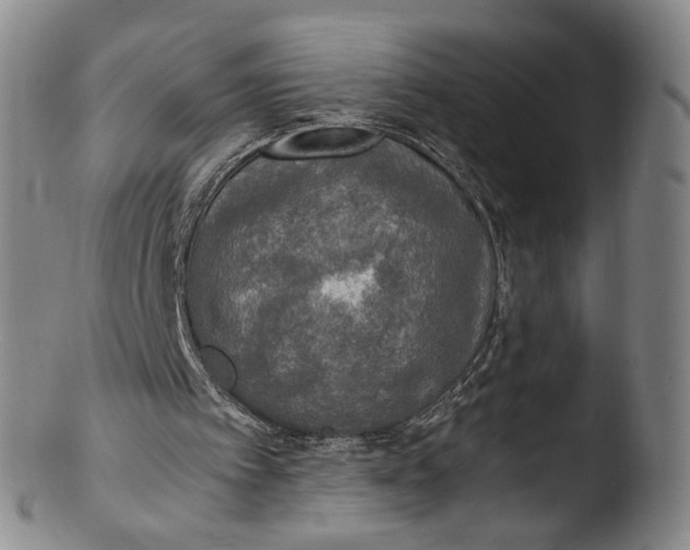 X0000103430097200809261740