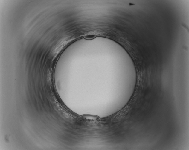 X0000103430098200809261740