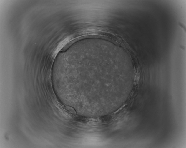 X0000103430099200809261740