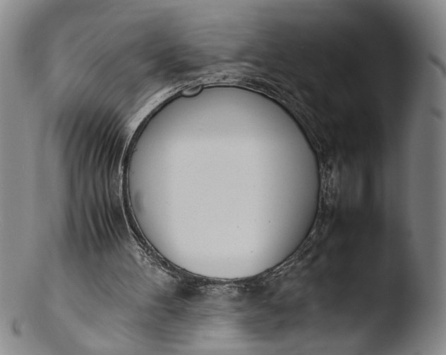 X0000103430100200809261740