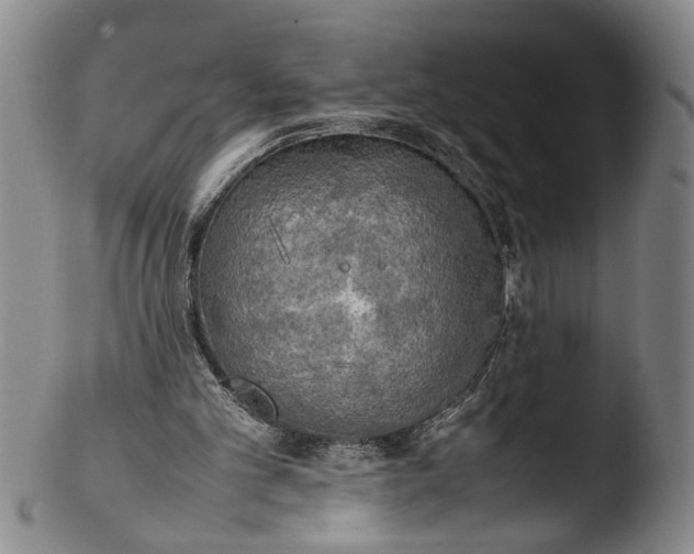 X0000103430101200809261740