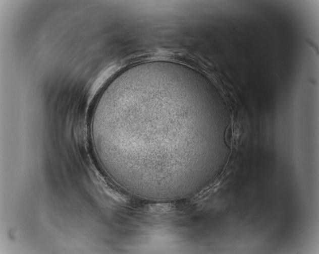 X0000103430102200809261740