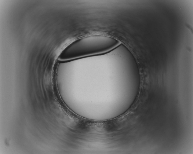 X0000103430104200809261740