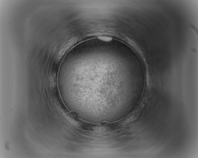 X0000103430105200809261740