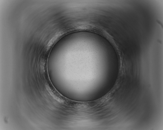 X0000103430106200809261740