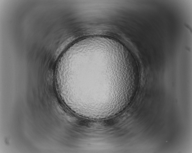 X0000103430107200809261740