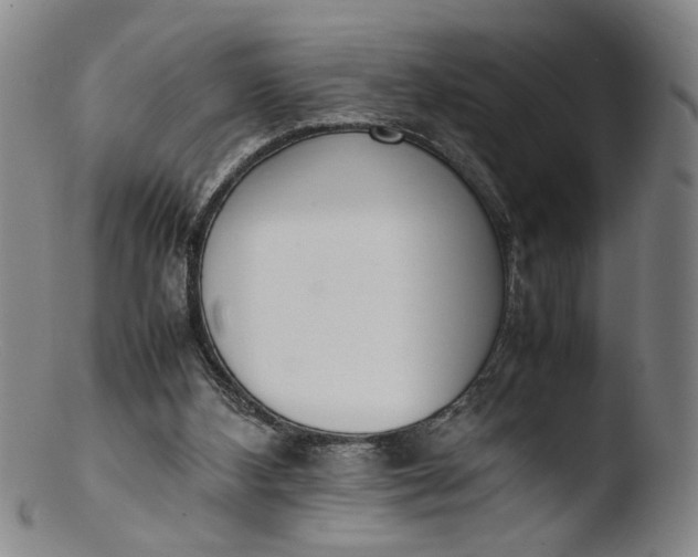 X0000103430108200809261740