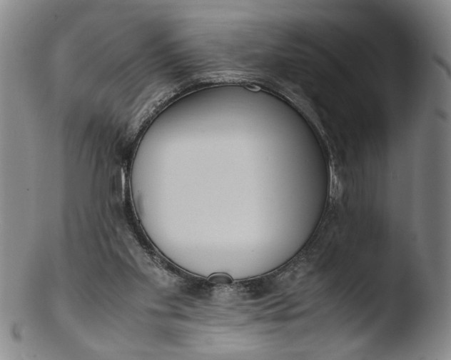 X0000103430109200809261740