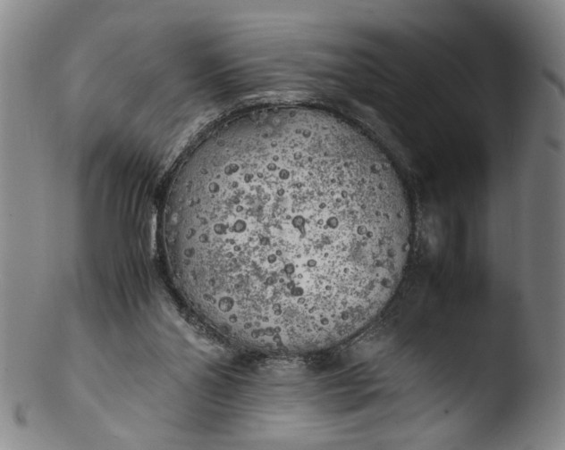 X0000103430110200809261740