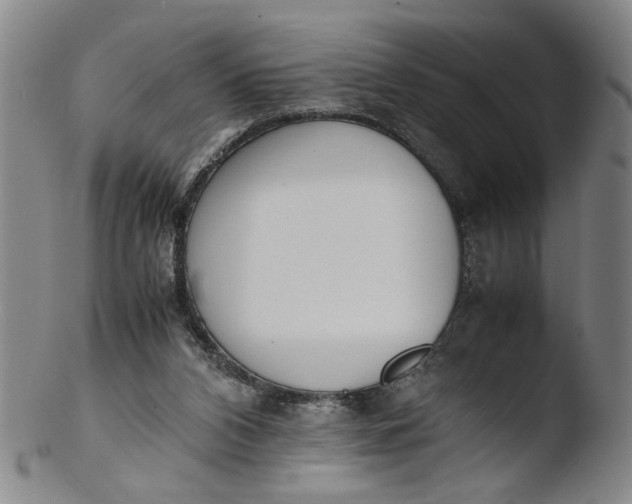 X0000103430112200809261740