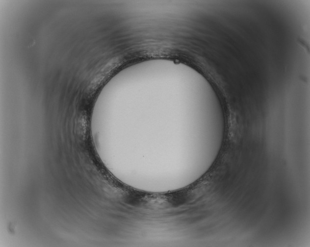 X0000103430113200809261740