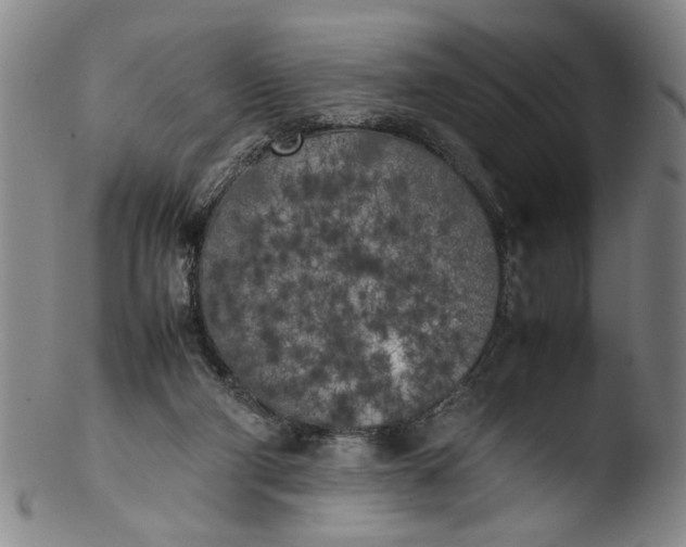 X0000103430114200809261740