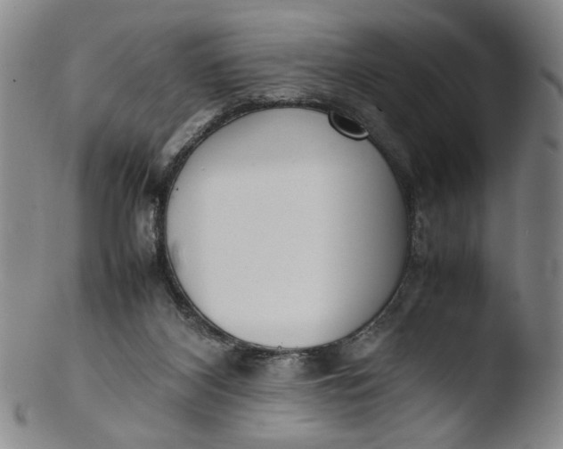 X0000103430116200809261740