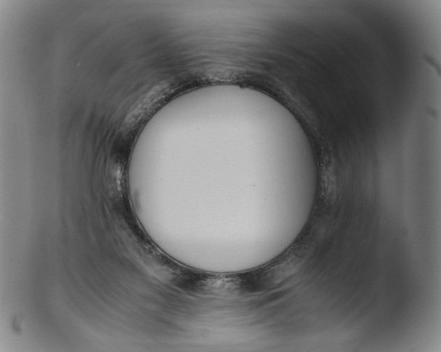 X0000103430117200809261740