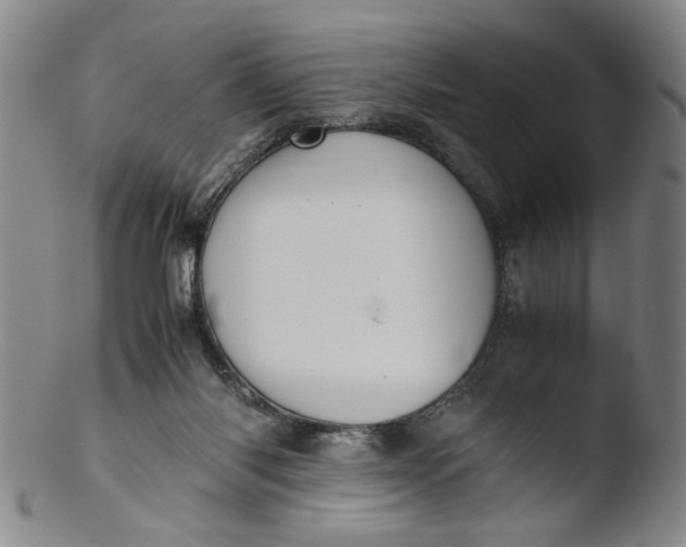 X0000103430118200809261740